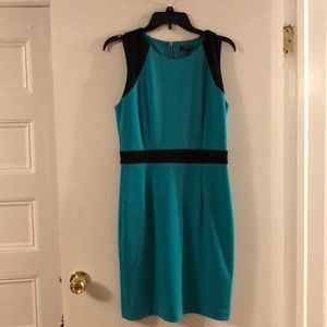 The Limited Petite dress